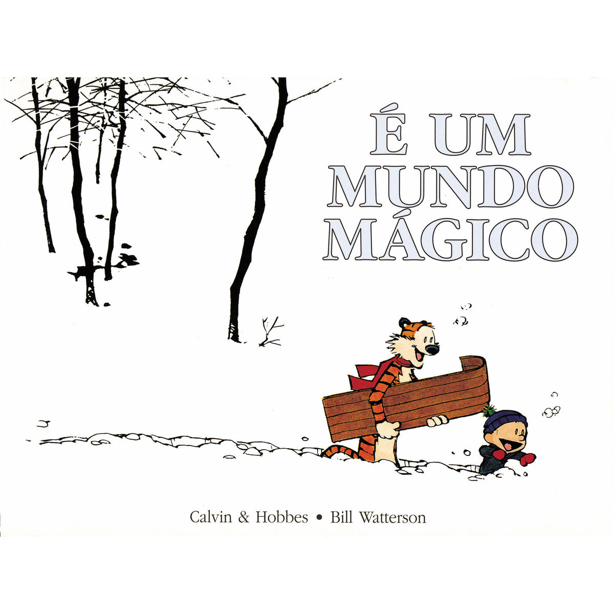 É um Mundo Mágico