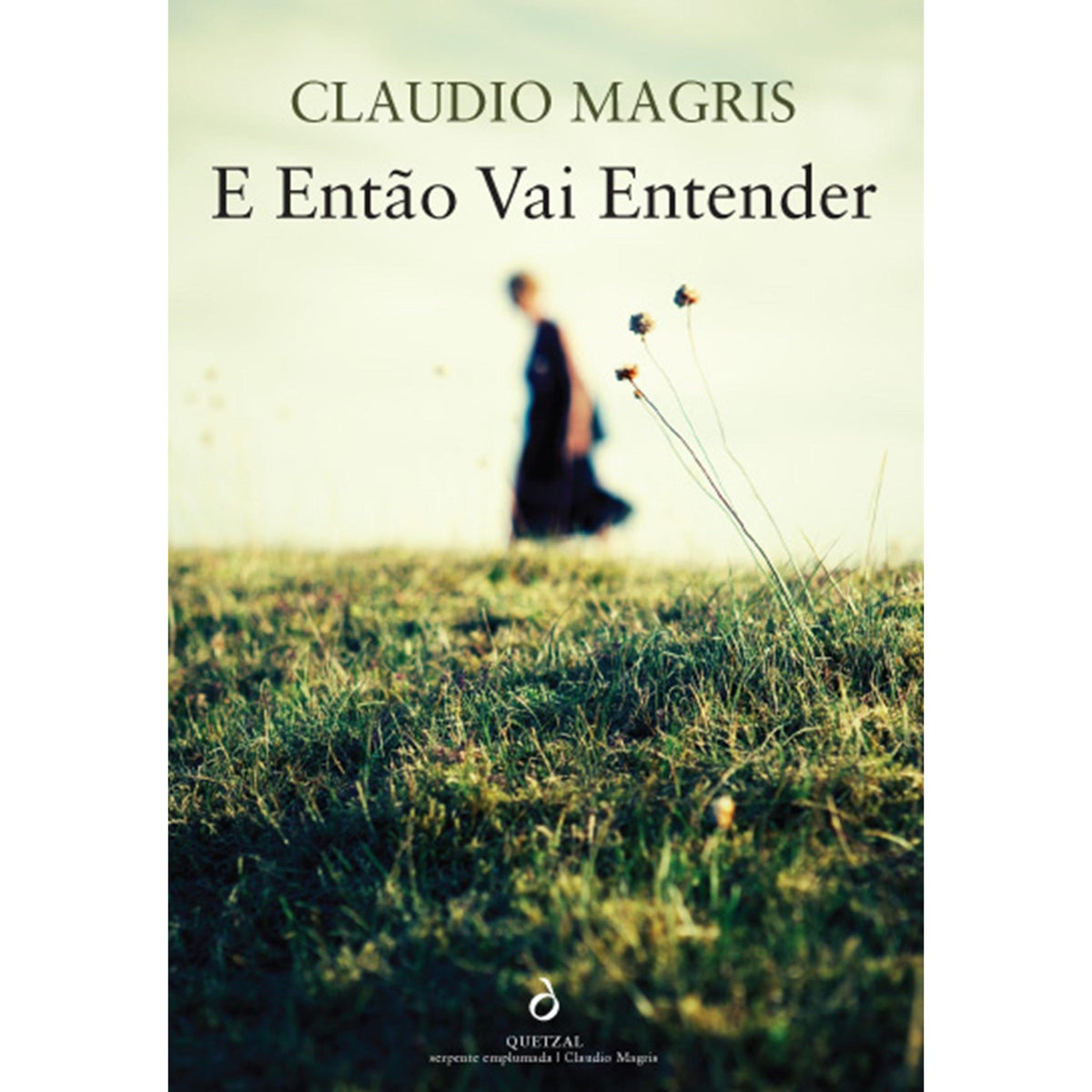 E Então Vai Entender de Claudio Magris