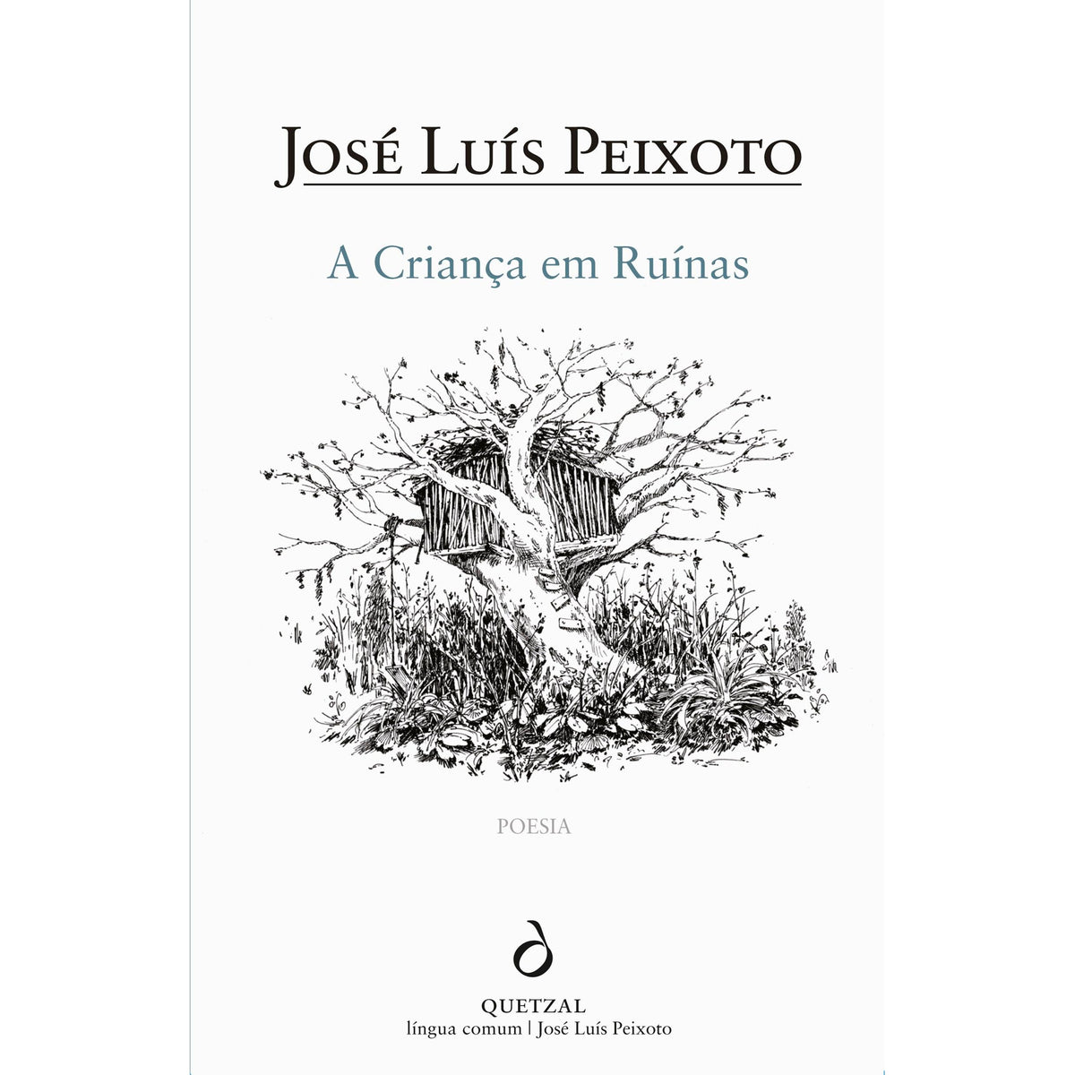 A Criança em Ruínas de José Luís Peixoto