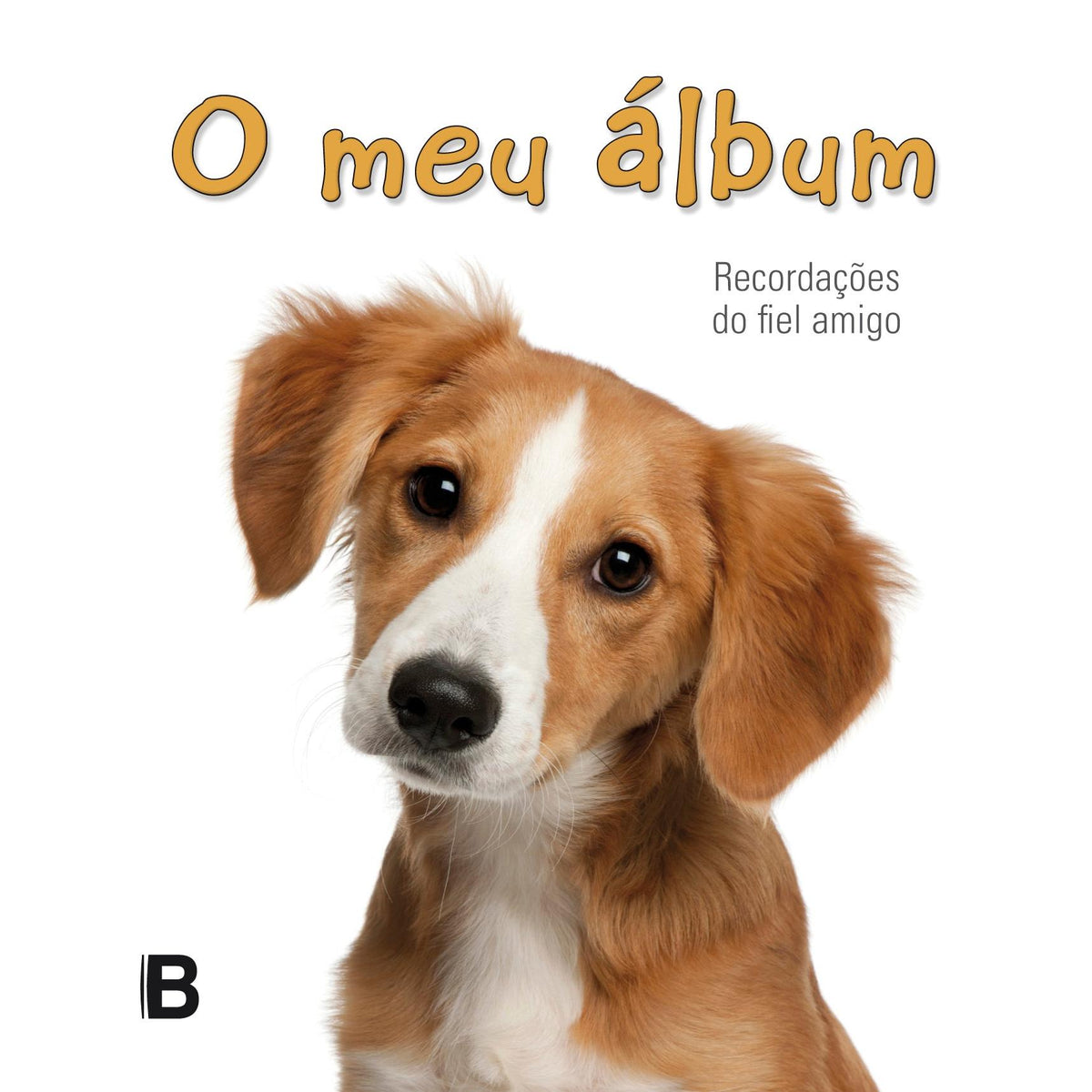 O Meu Álbum (Livro de Bolso) de Bookout