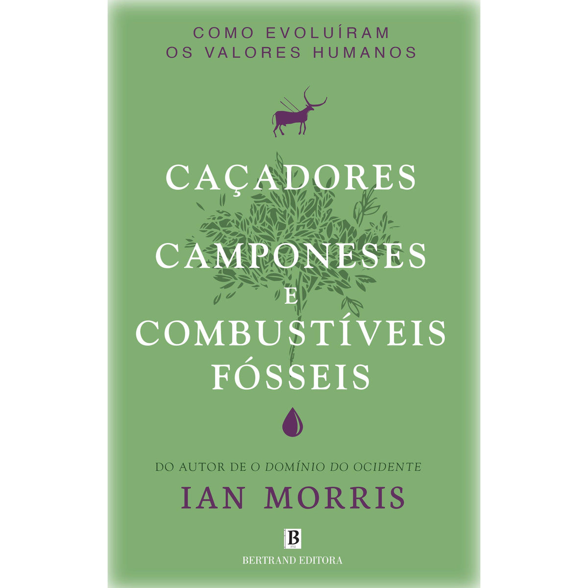 Caçadores, Camponeses e Combustíveis Fósseis de Ian Morris