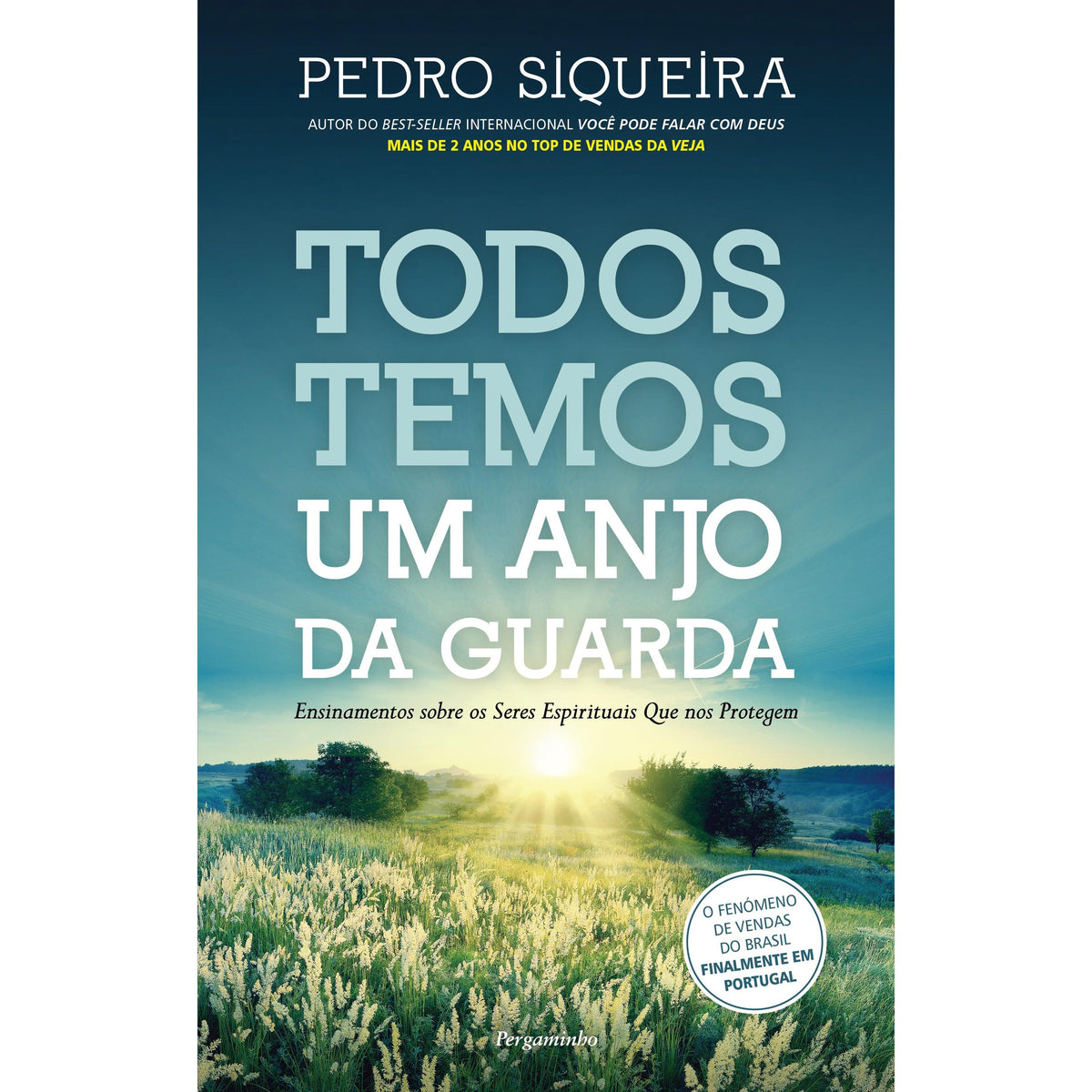 Todos Temos Um Anjo da Guarda de Pedro Siqueira