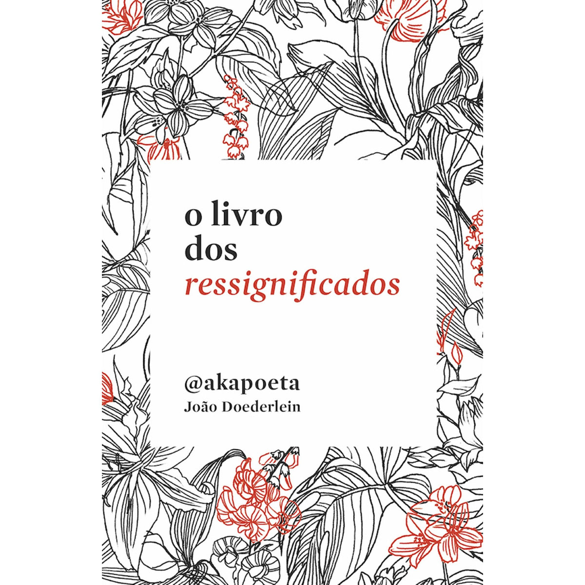 O Livro dos Ressignificados de Akapoeta (João Doederlein)