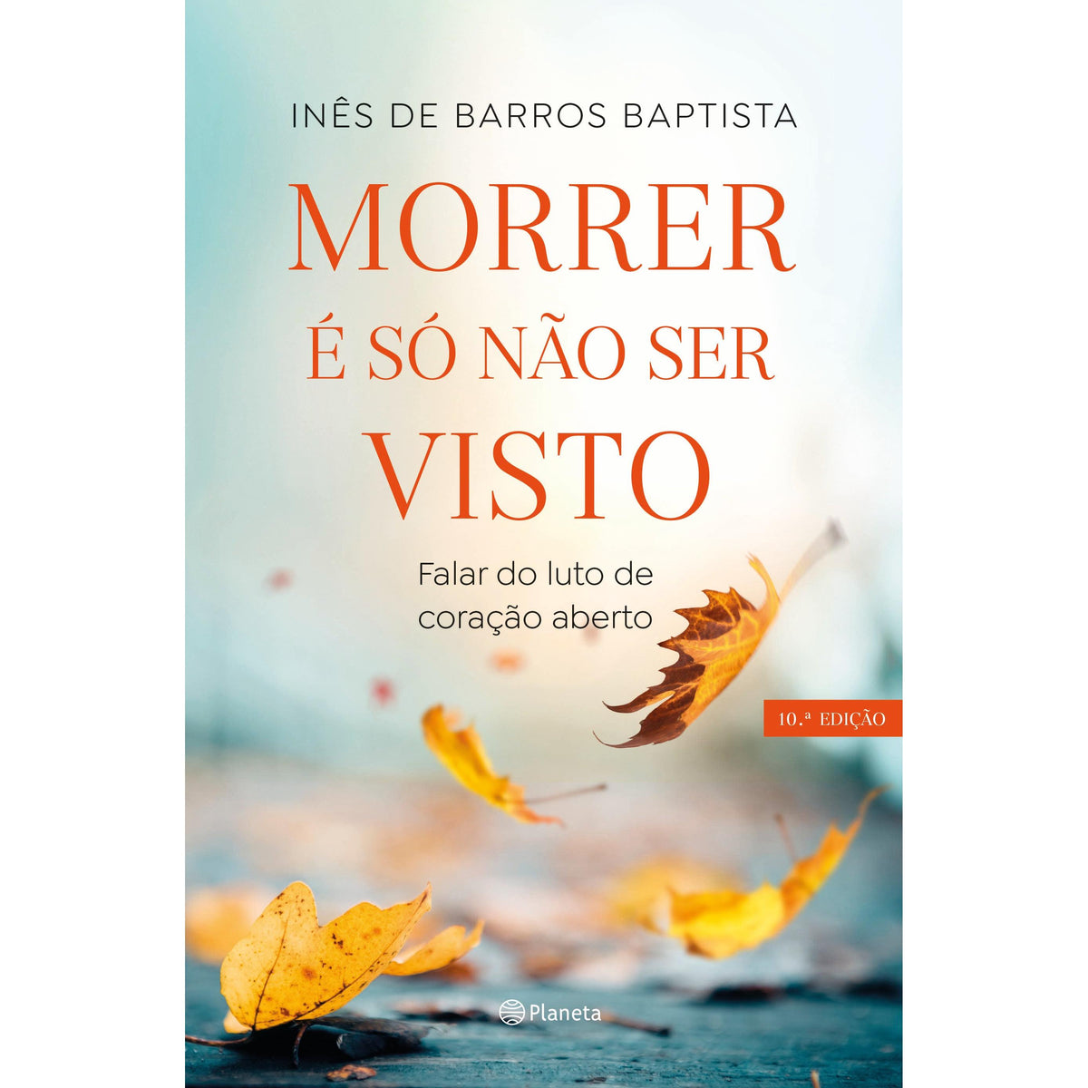 Morrer é Só Não Ser Visto de Inês de Barros Baptista