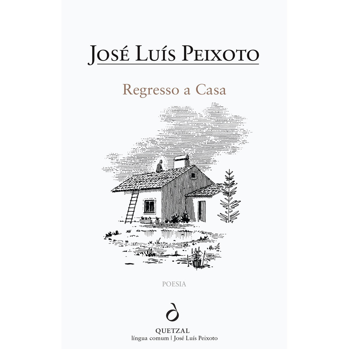 Regresso a Casa de José Luís Peixoto