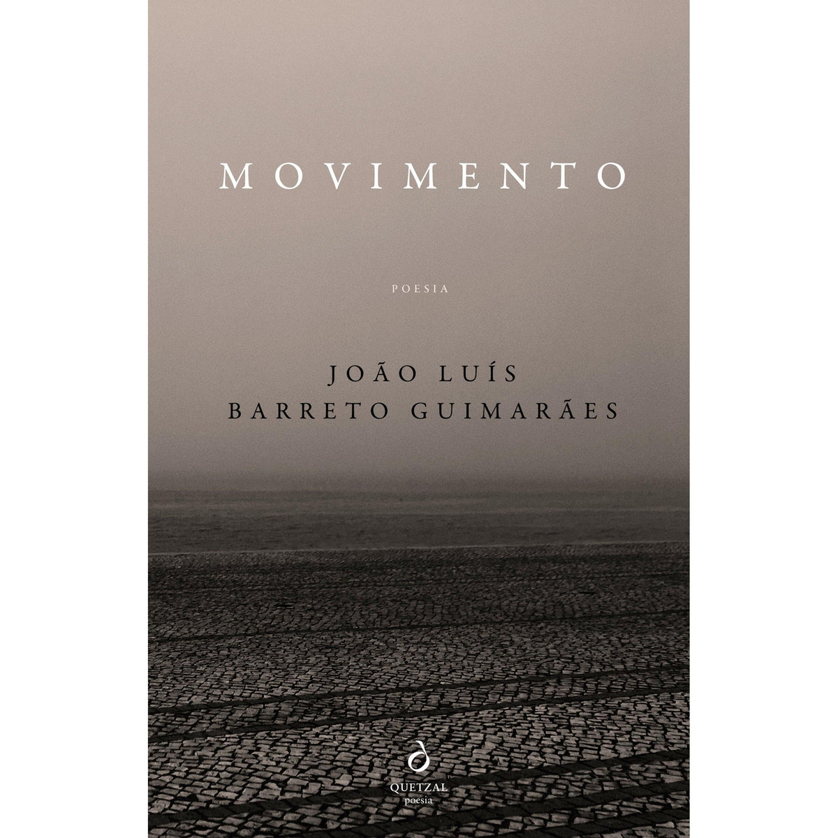 Movimento de João Luís Barreto Guimarães