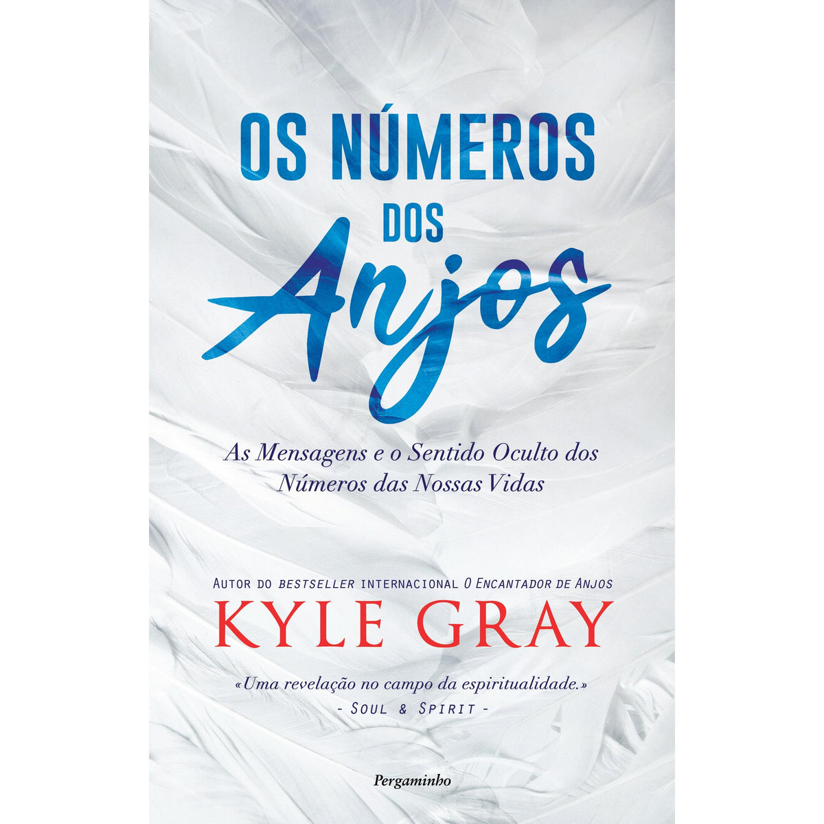 Os Números dos Anjos de Kyle Gray