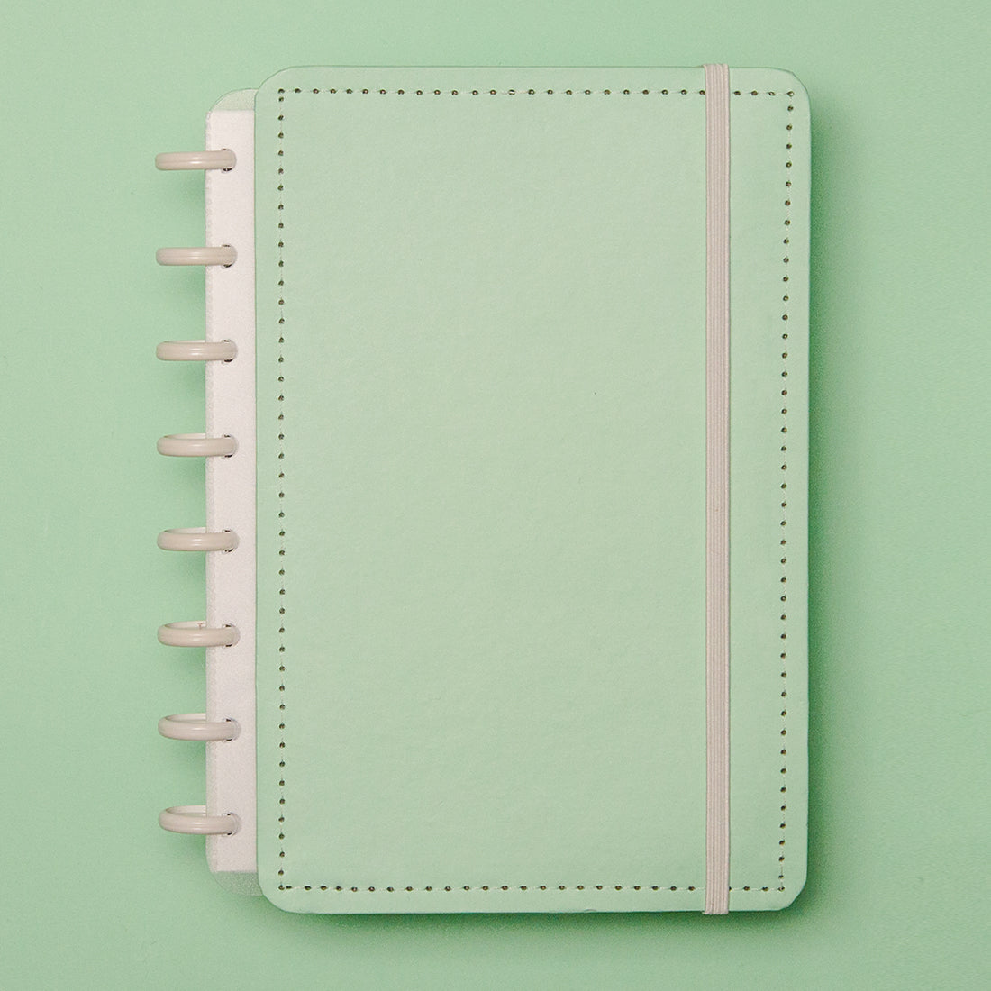 Caderno Inteligente Verde Pastel A5
