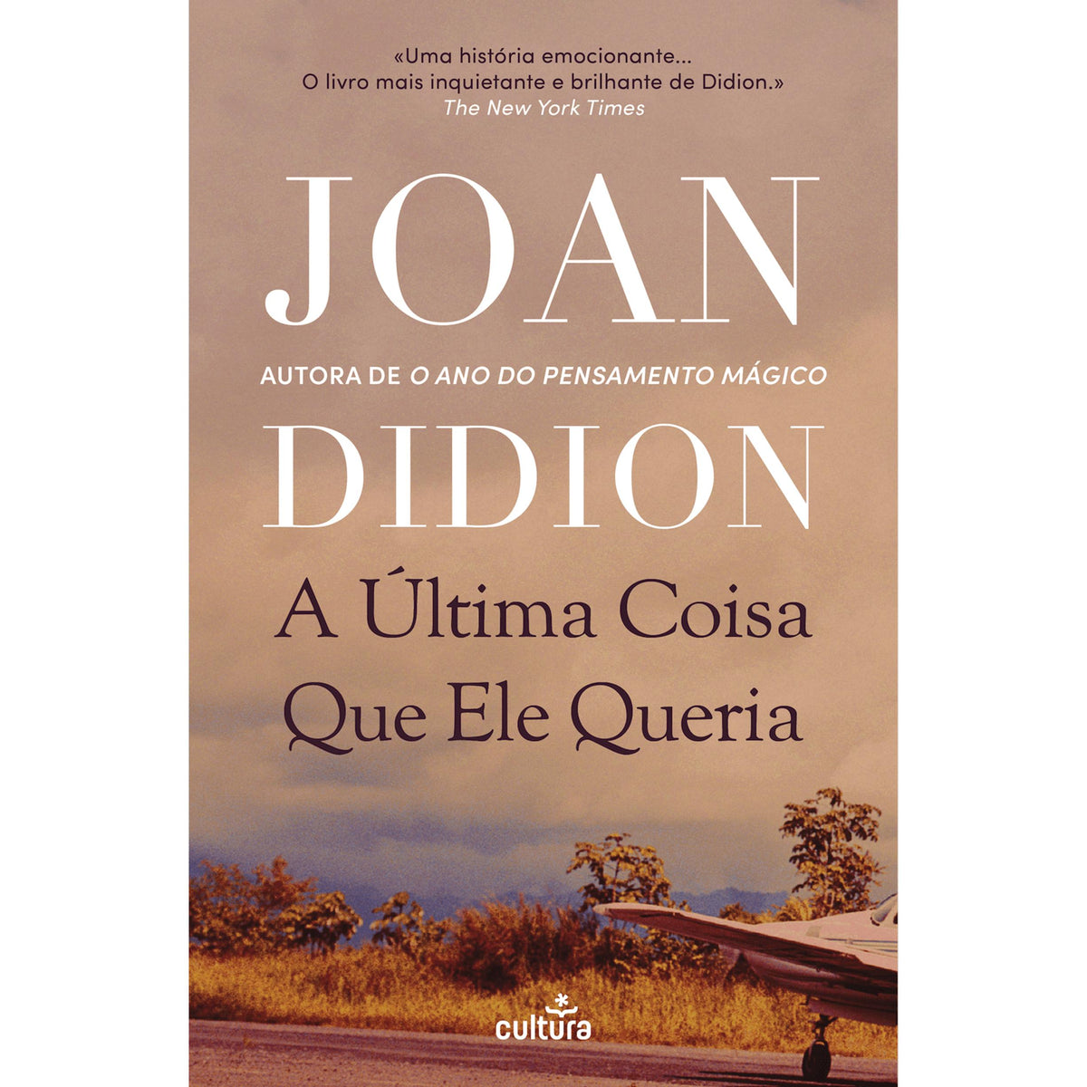 A Última Coisa que Ele Queria de Joan Didion