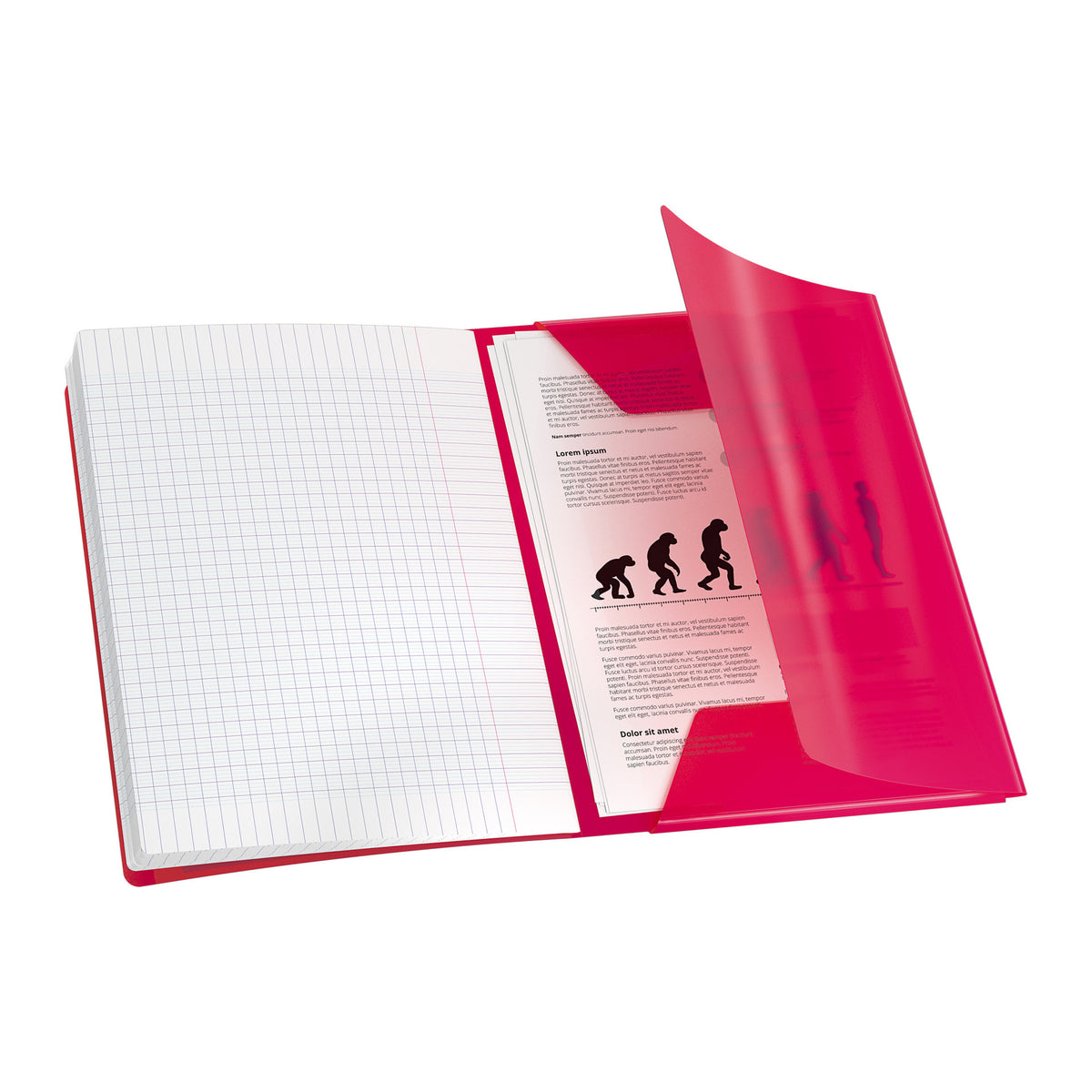 Caderno Agrafado EasyBook A4 Quadriculado (várias opções) Oxford