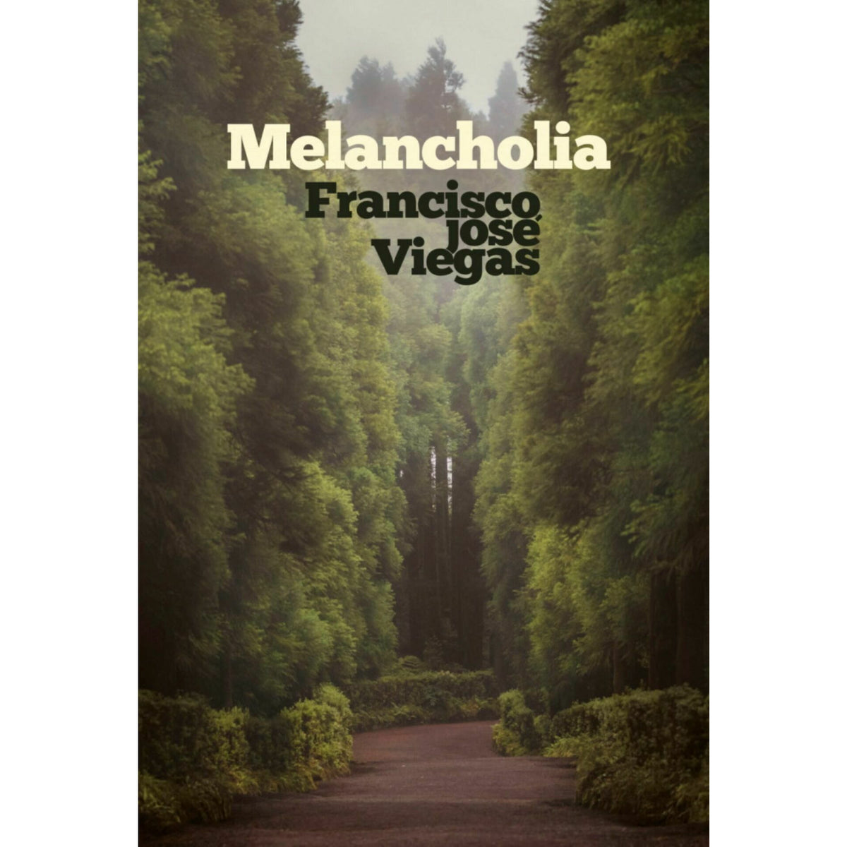 Melancholia de Francisco José Viegas