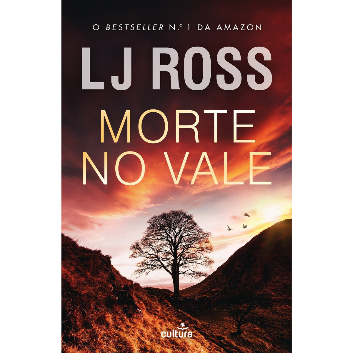 Morte no Vale de LJ Ross