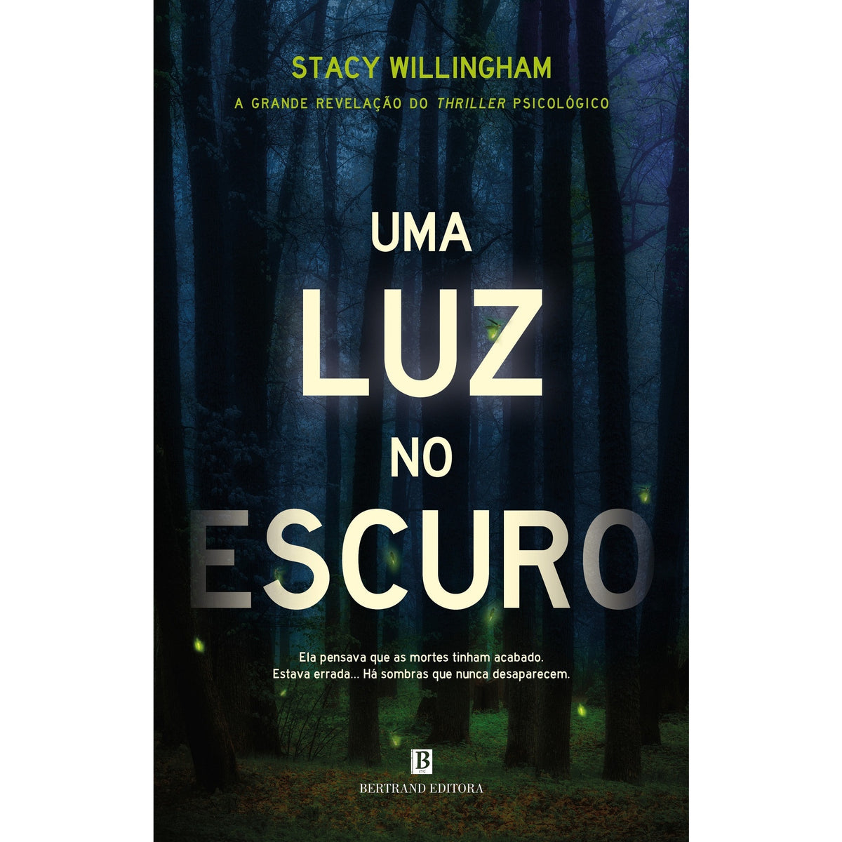 Uma Luz no Escuro de Stacy Willingham