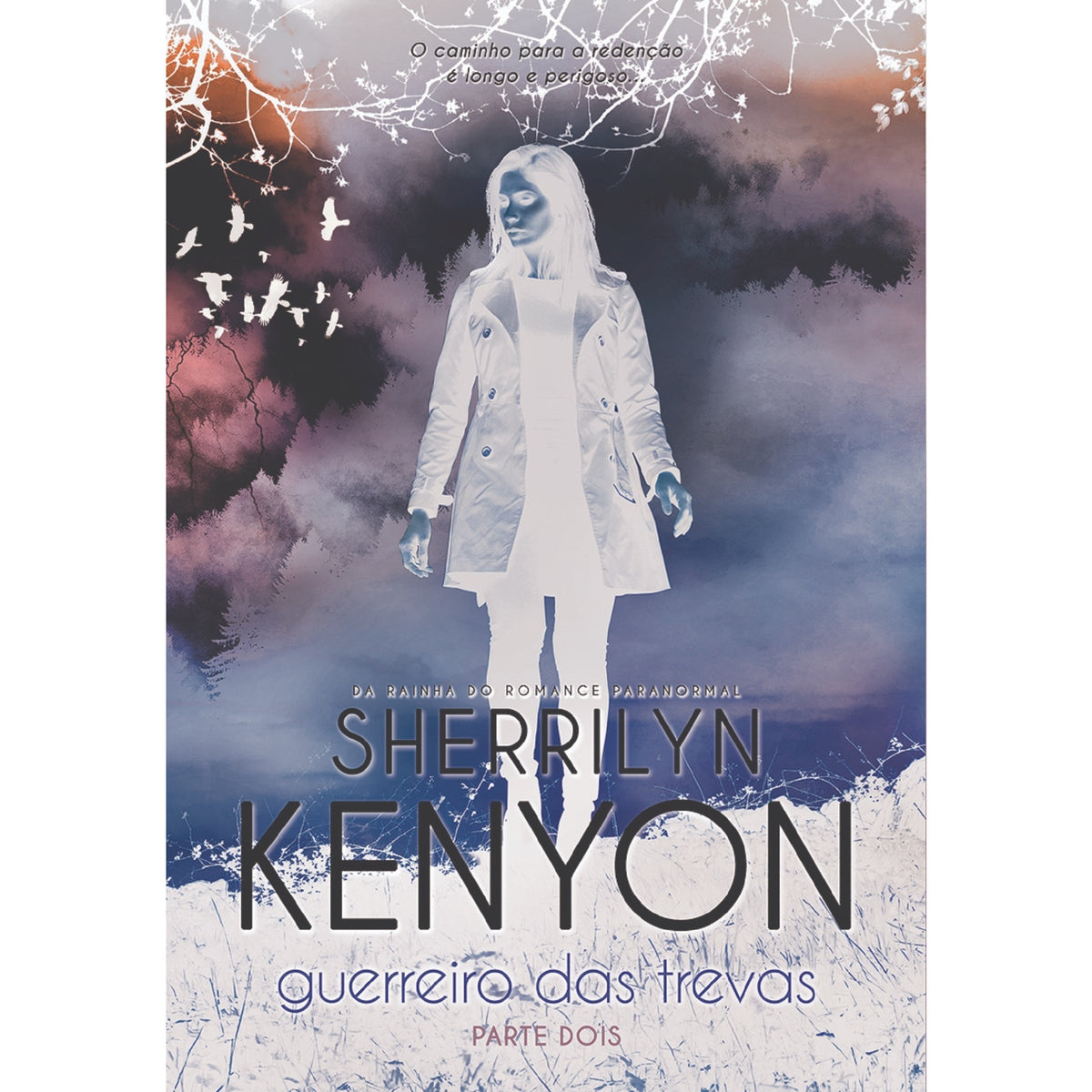 Guerreiro das Trevas - Parte Dois de Sherrilyn Kenyon