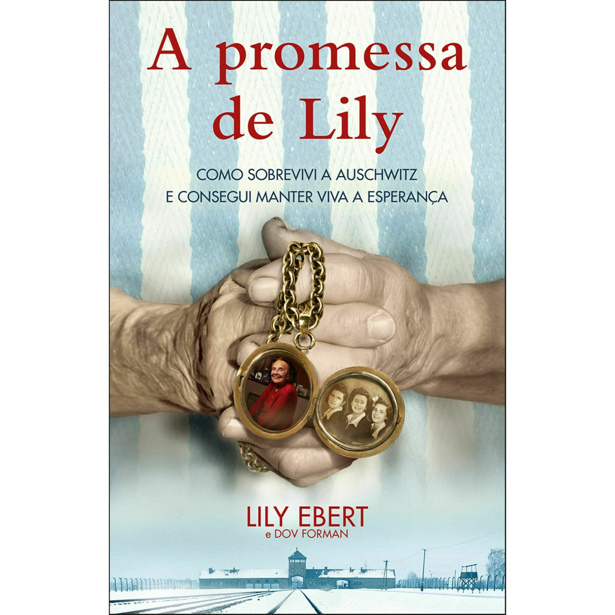 A Promessa de Lily de Lily Ebert e Dov Forman - Como Sobrevivi a Auschwitz e Consegui Manter Viva a Esperança.