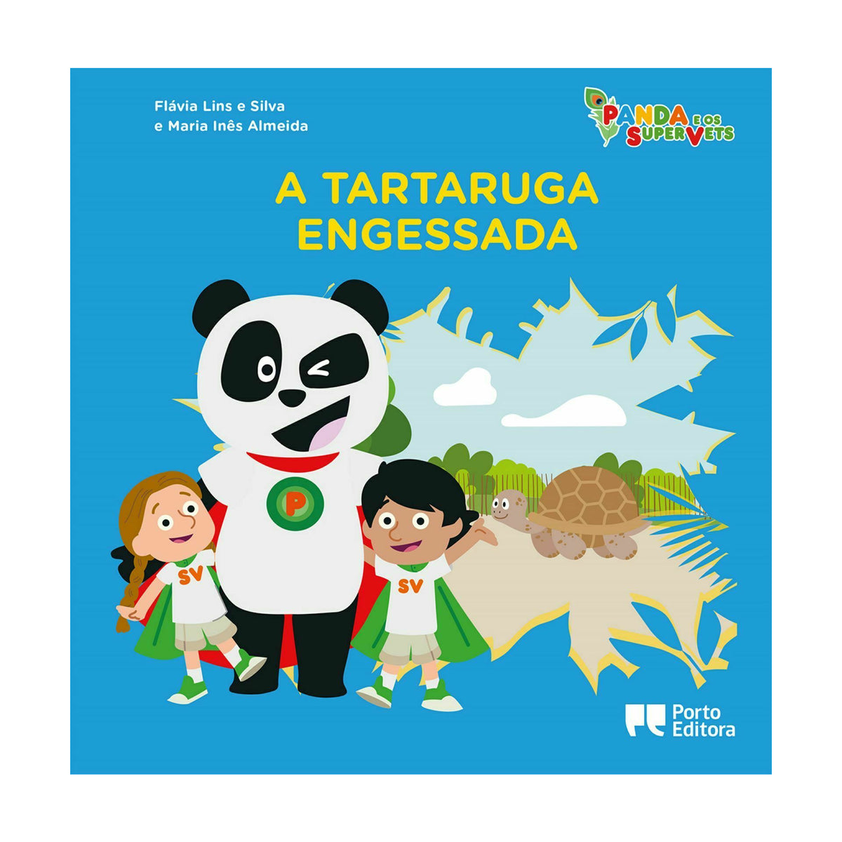 A Tartaruga Engessada de Flávia Lins e Silva e Maria Inês Almeida