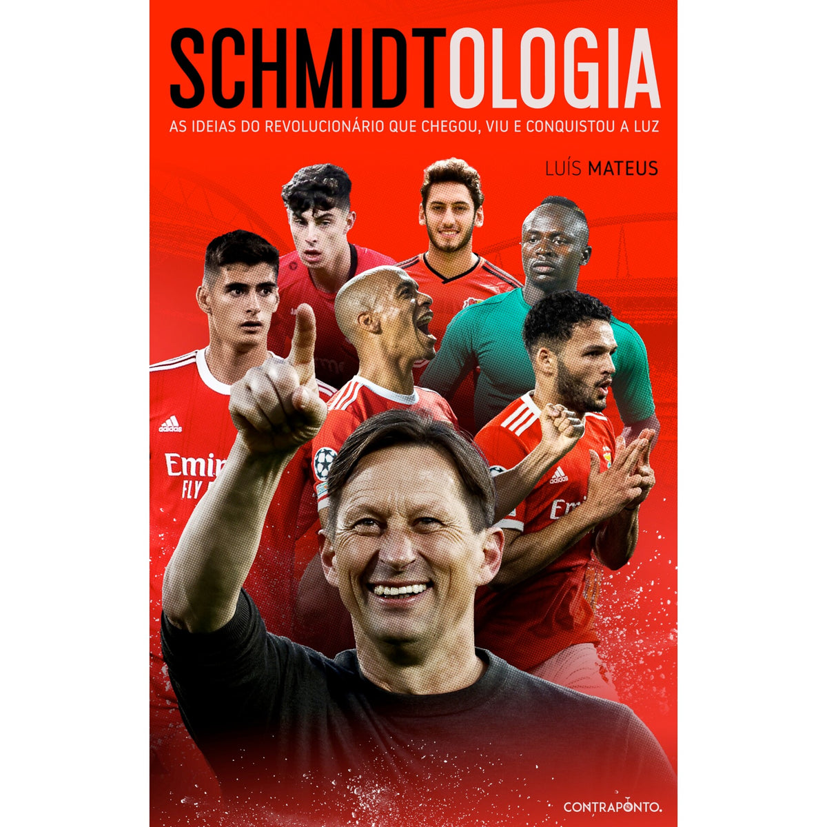 Schmidtologia de Luís Mateus