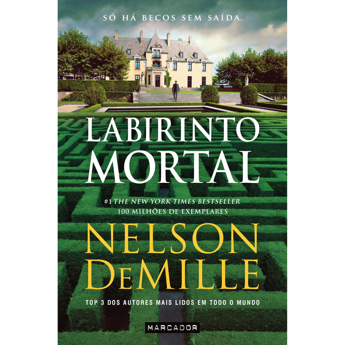 Labirinto Mortal de Nelson Demille