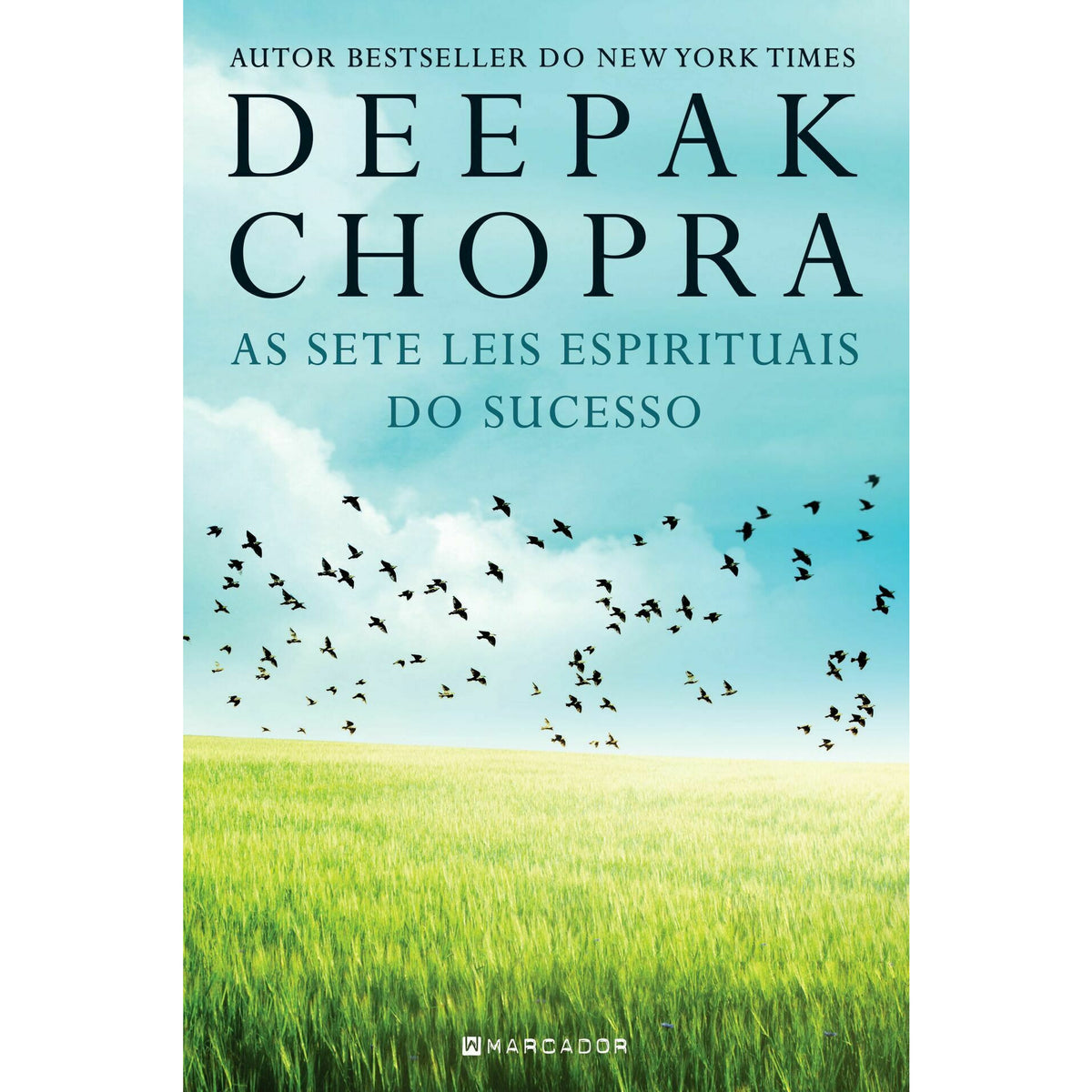 As Sete Leis Espirituais do Sucesso de Deepak Chopra