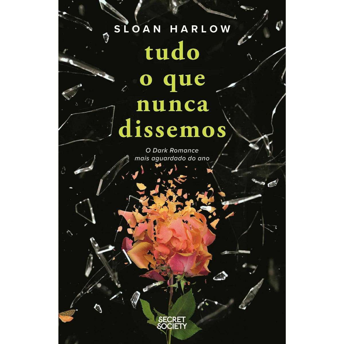 Tudo o que Nunca Dissemos de Sloan Harlow