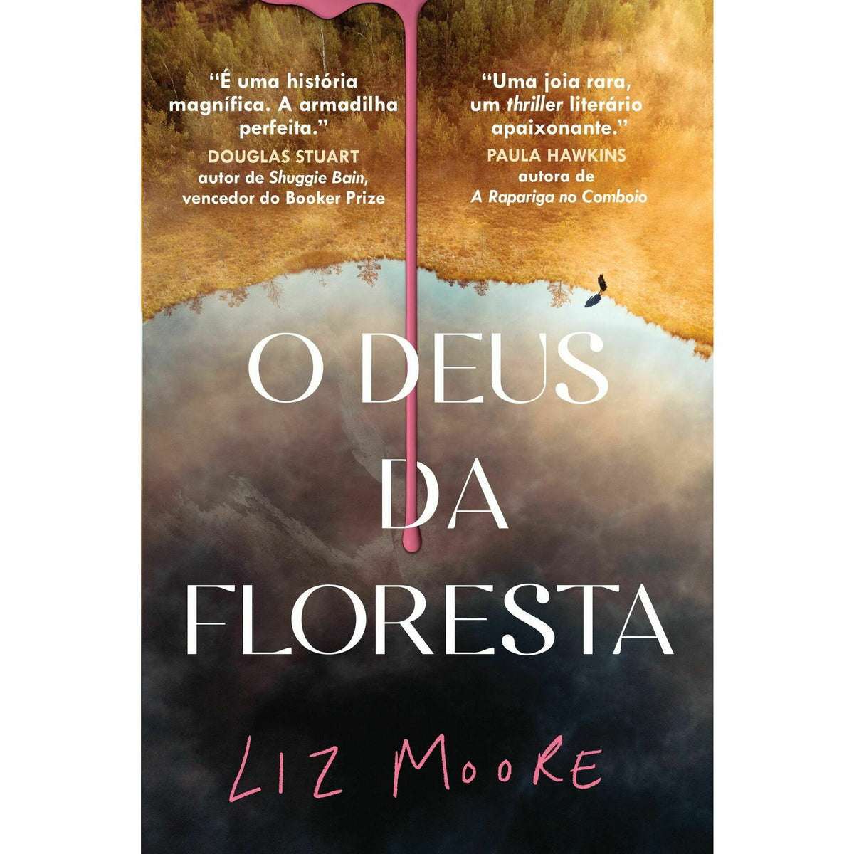 O Deus da Floresta de Liz Moore