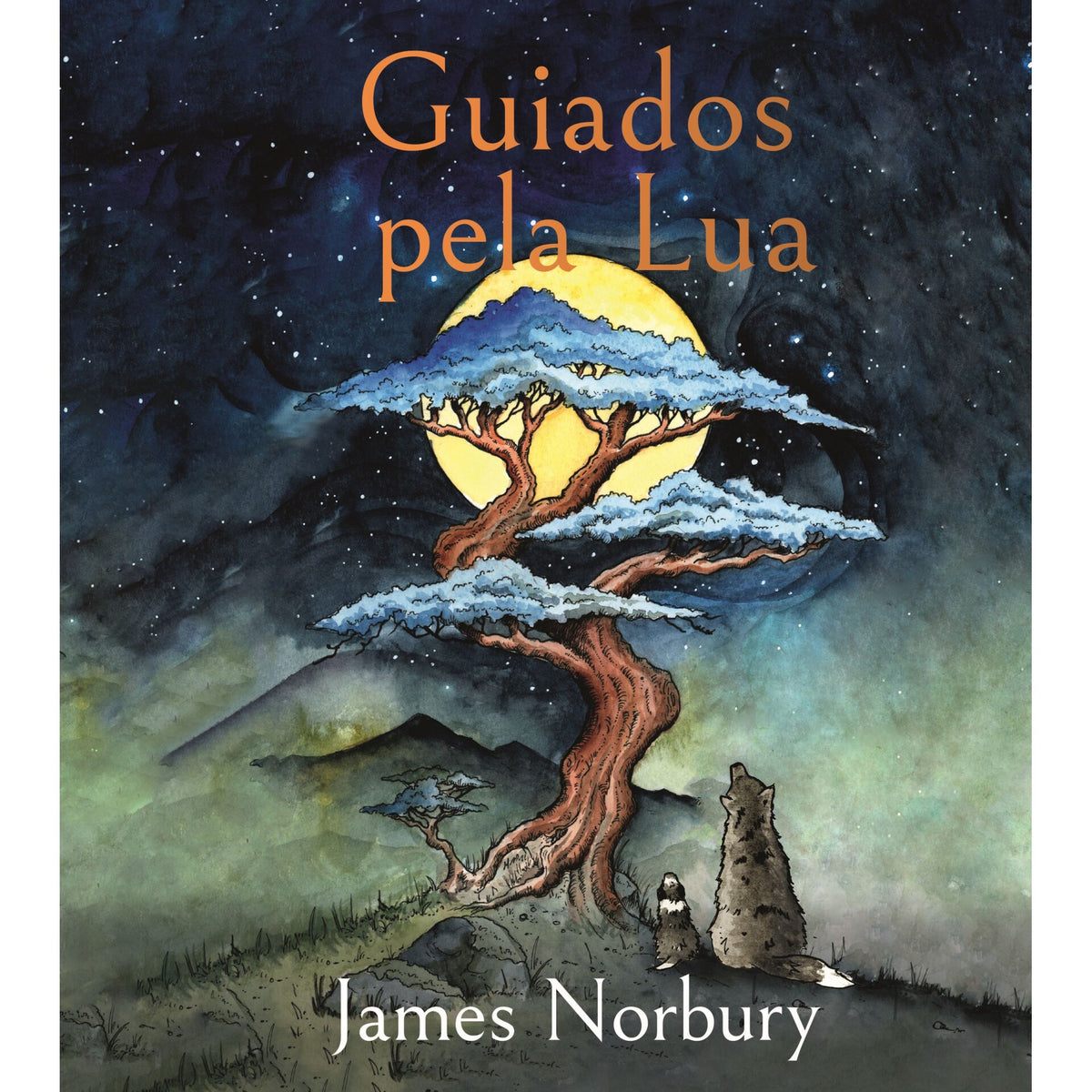 Guiados Pela Lua de James Norbury