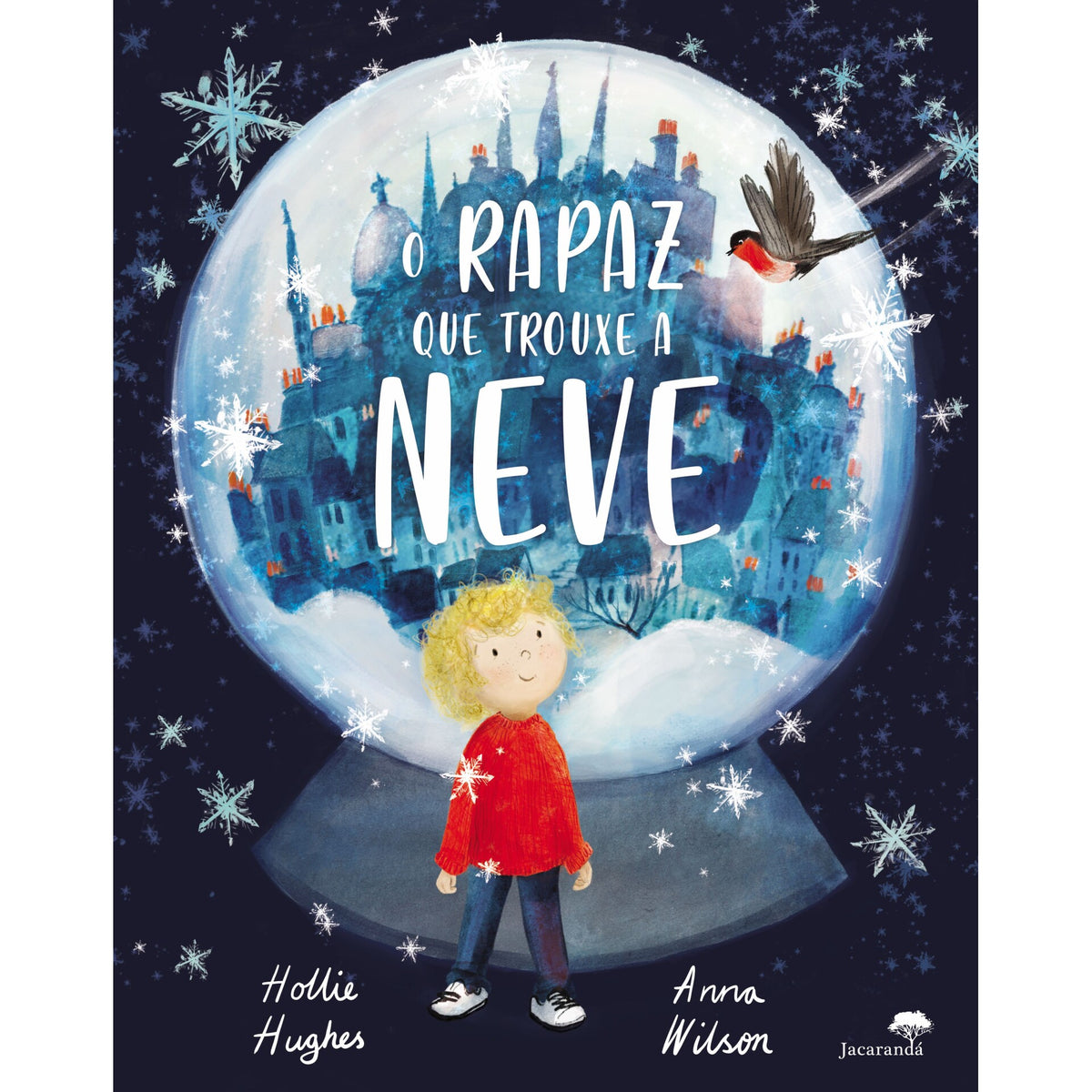 O Rapaz que Trouxe a Neve de Hollie Hughes e Anna Wilson