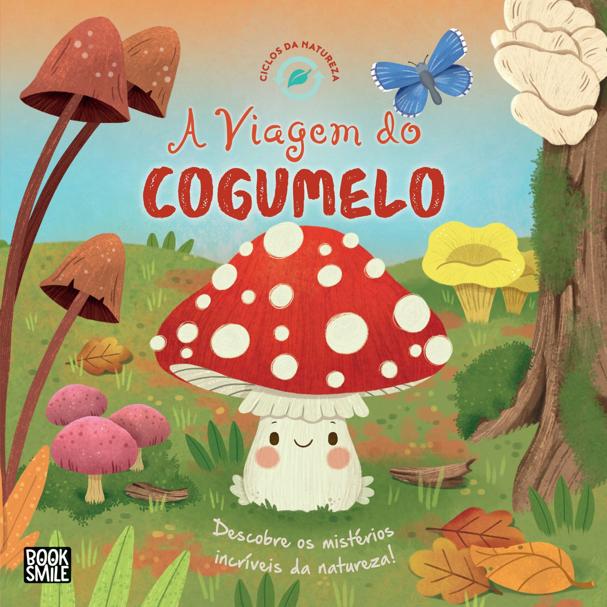 A Viagem do Cogumelo de Gisela Bohorquez - Ciclos da Natureza Nº 8