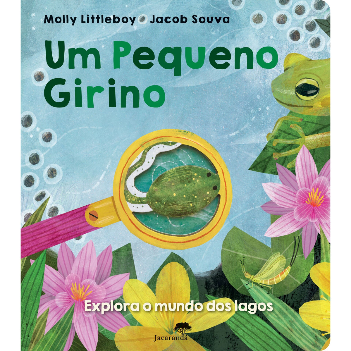 Um Pequeno Girino de Molly Littleboy e Jacob Souva