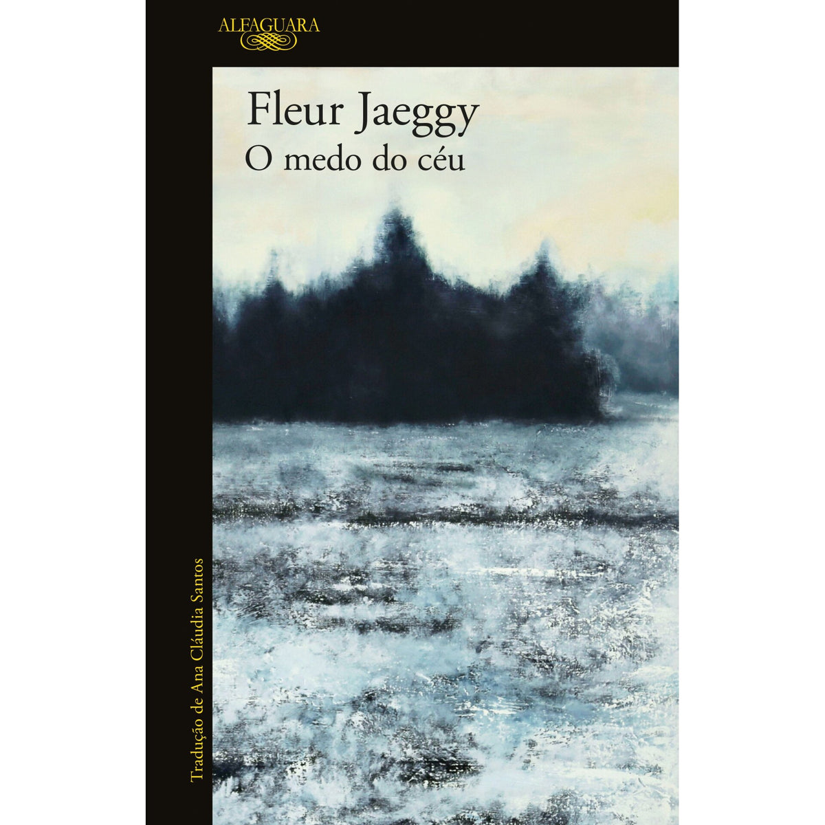 O Medo do Céu de Fleur Jaeggy