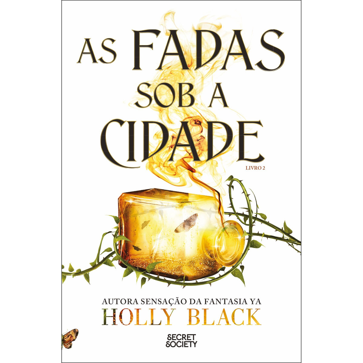 As Fadas Sob A Cidade de Holly Black