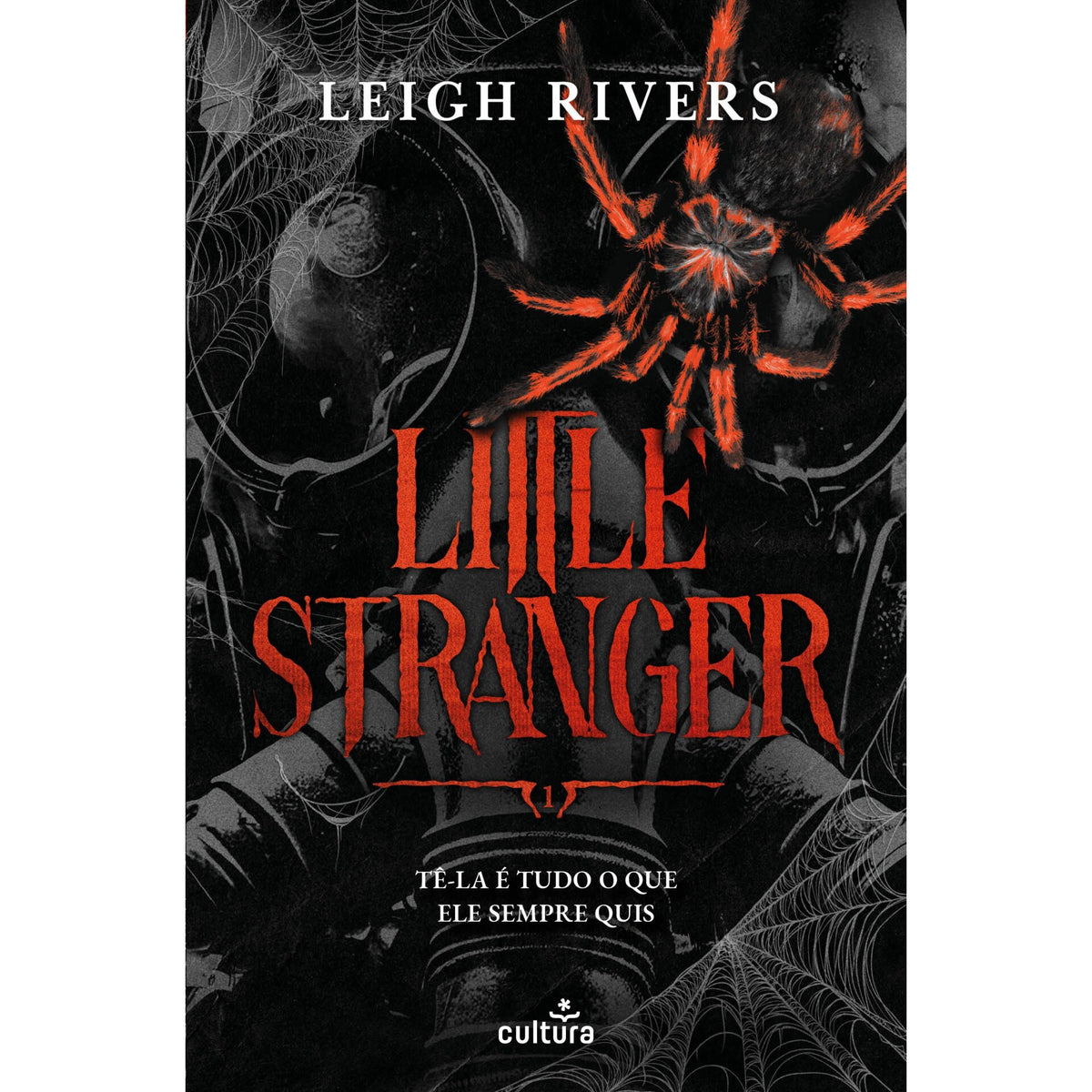 Little Stranger de Leigh Rivers