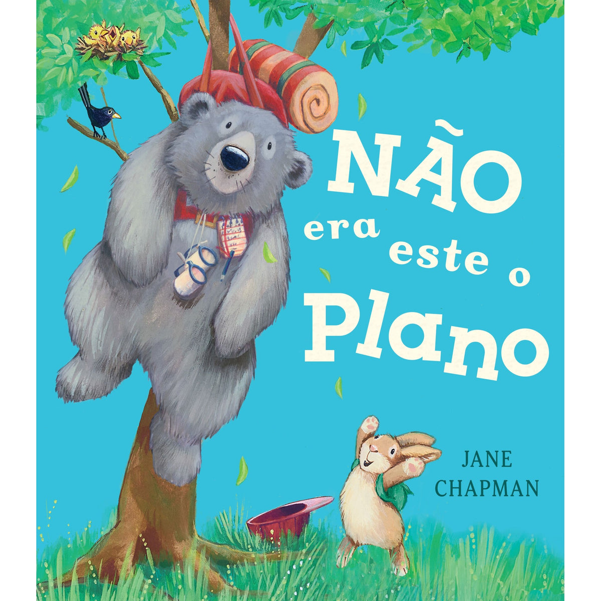 Não Era Este o Plano! de Jane Chapman