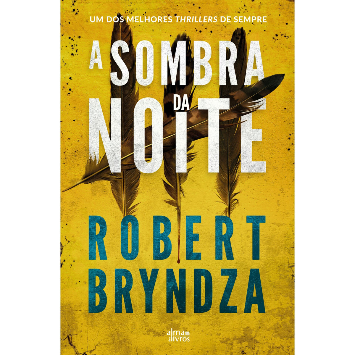 A Sombra da Noite de Robert Bryndza