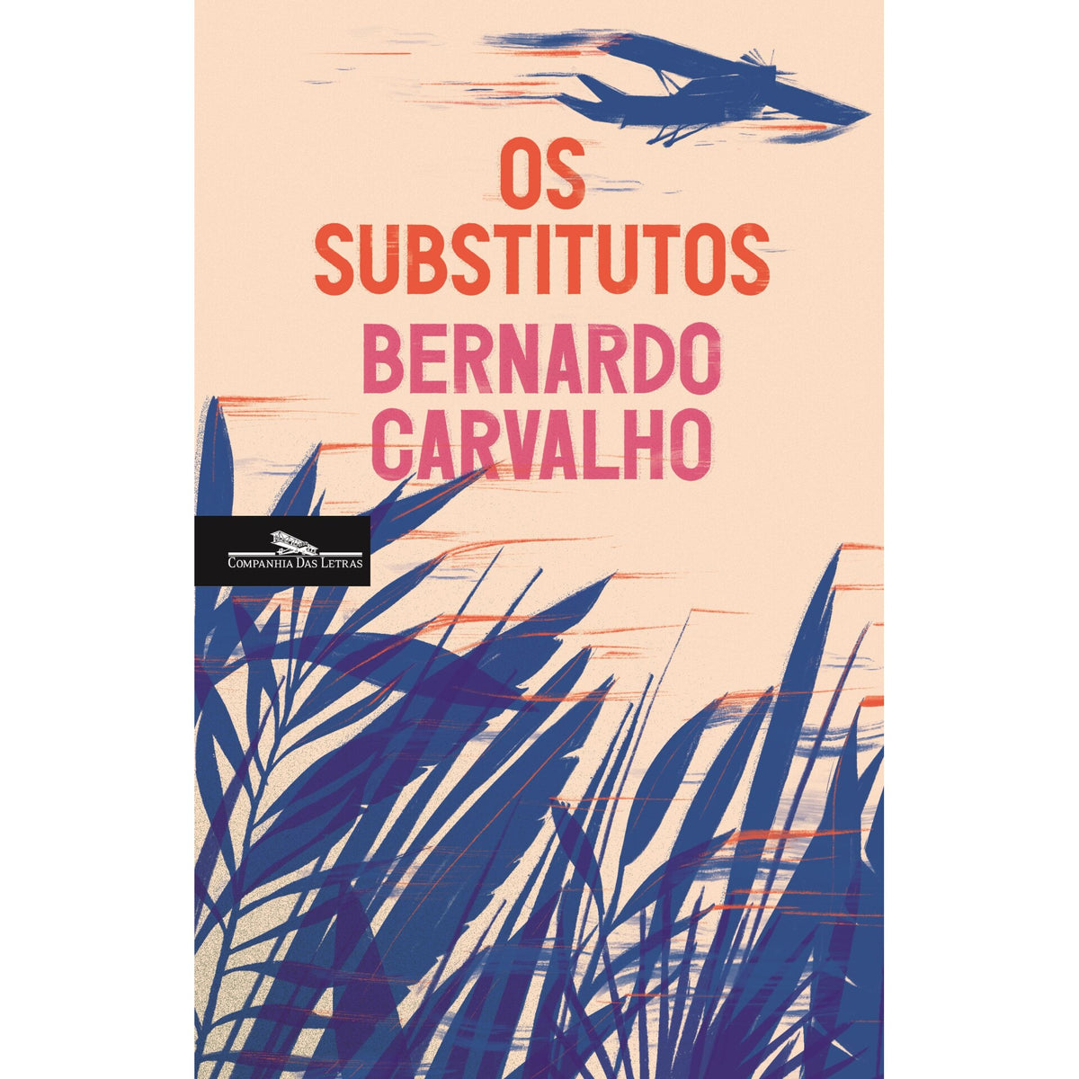 Os Substitutos de Bernardo Carvalho