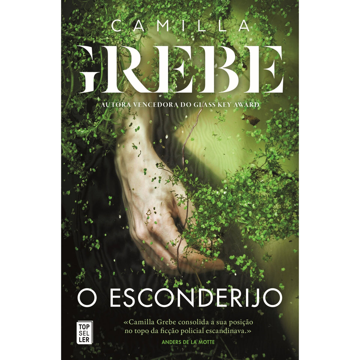 O Esconderijo de Camilla Grebe