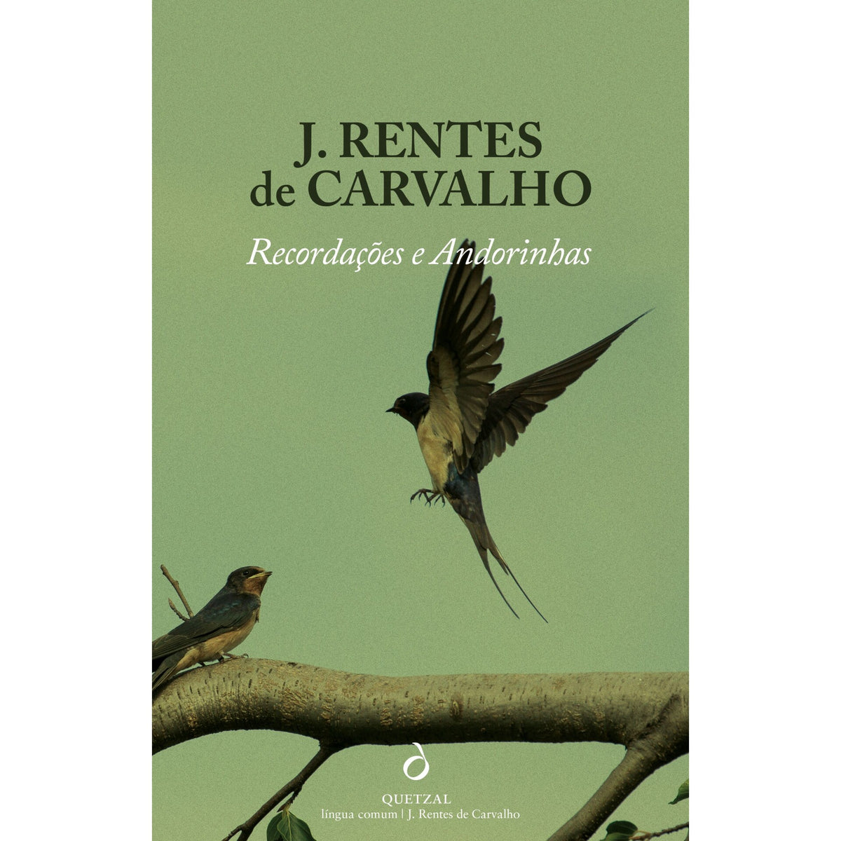 Recordações e Andorinhas de José Rentes De Carvalho