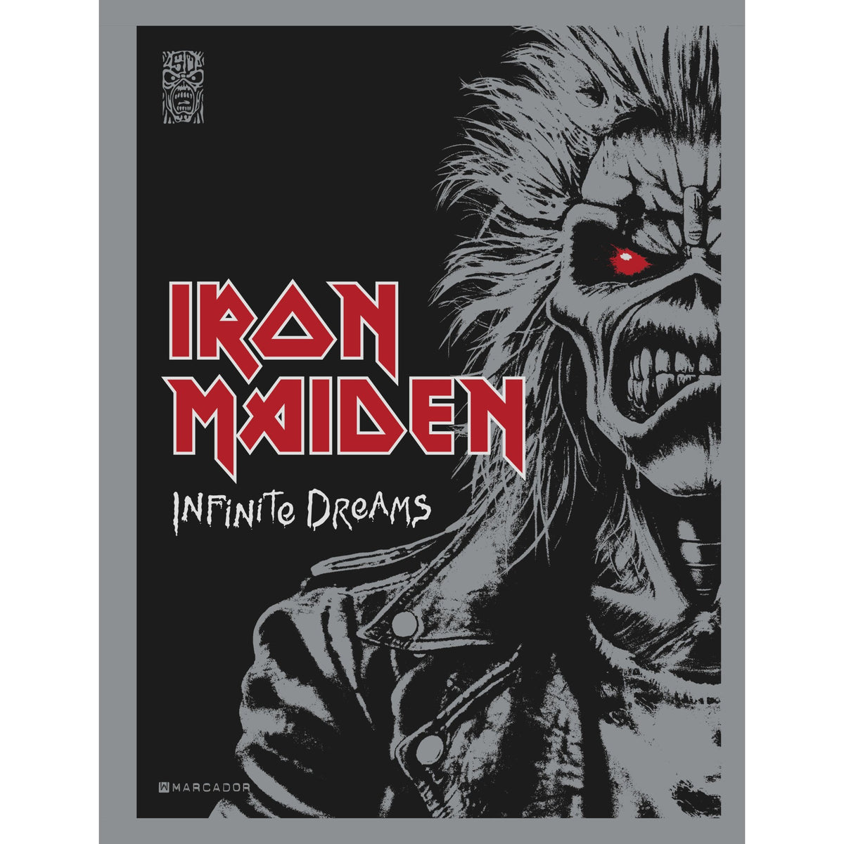 Infinite Dreams - Iron Maiden de Iron Maiden