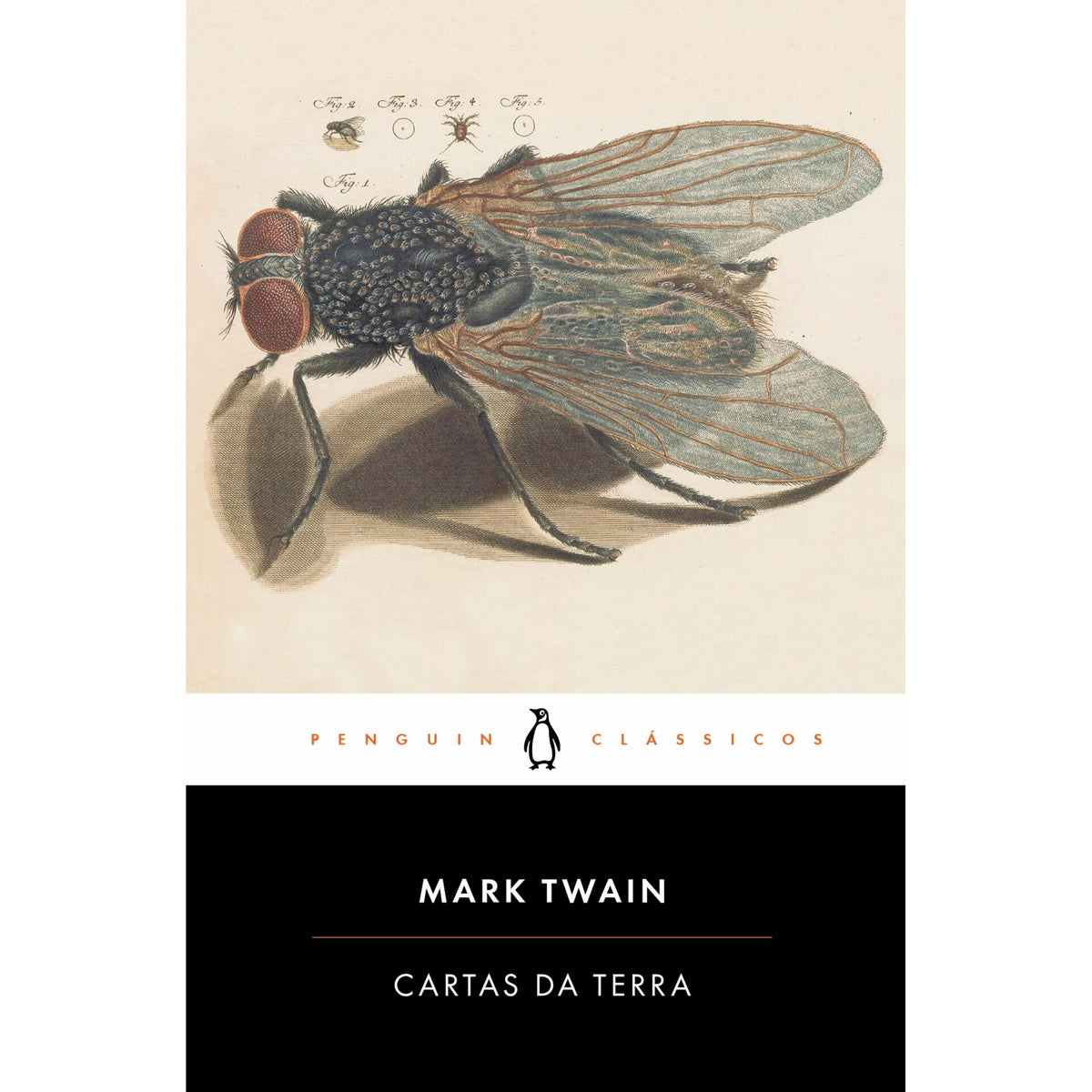 Cartas Da Terra de Mark Twain