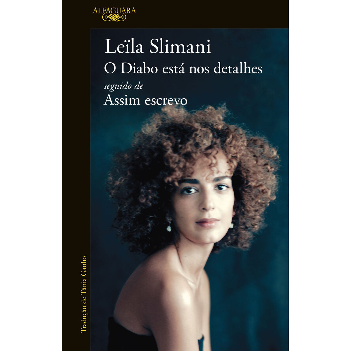 O Diabo Está Nos Detalhes de Leïla Slimani
