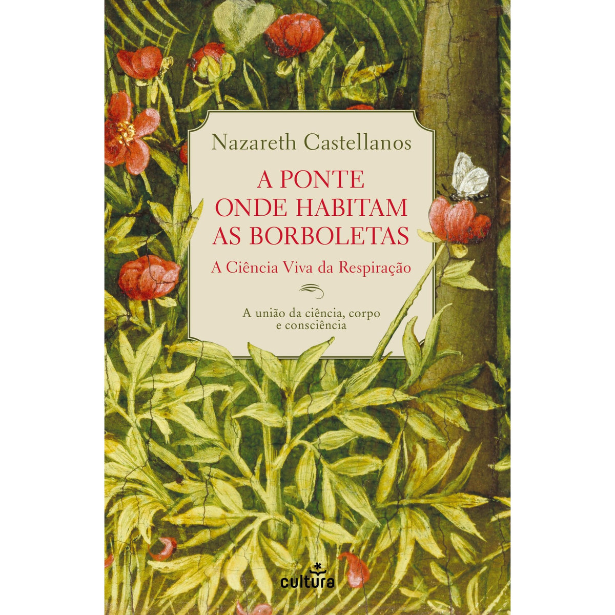 A Ponte Onde Habitam As Borboletas de Nazareth Castellanos