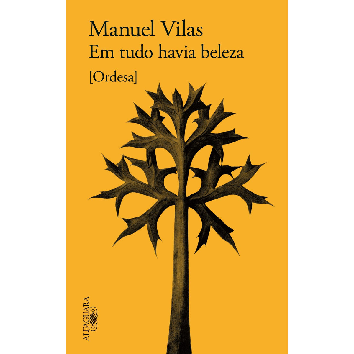 Em Tudo Havia Beleza de Manuel Vilas