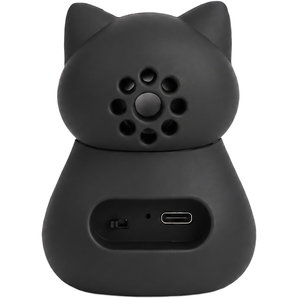 Coluna Bt Com Suporte Tlmvl - Gato