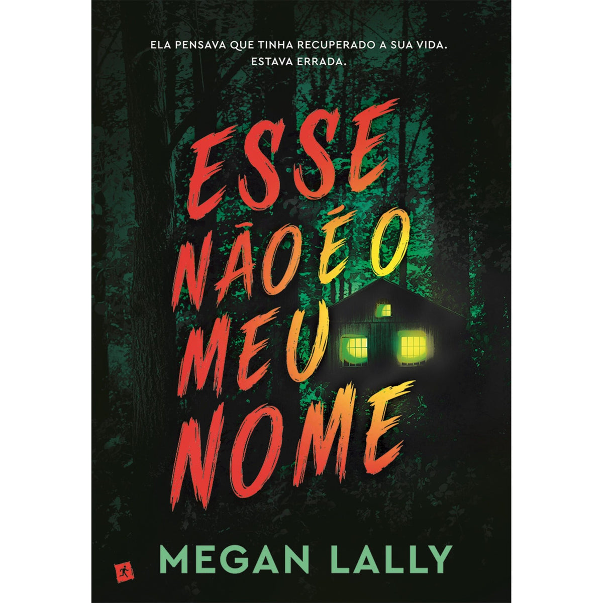 Esse Não é o Meu Nome de Megan Lally