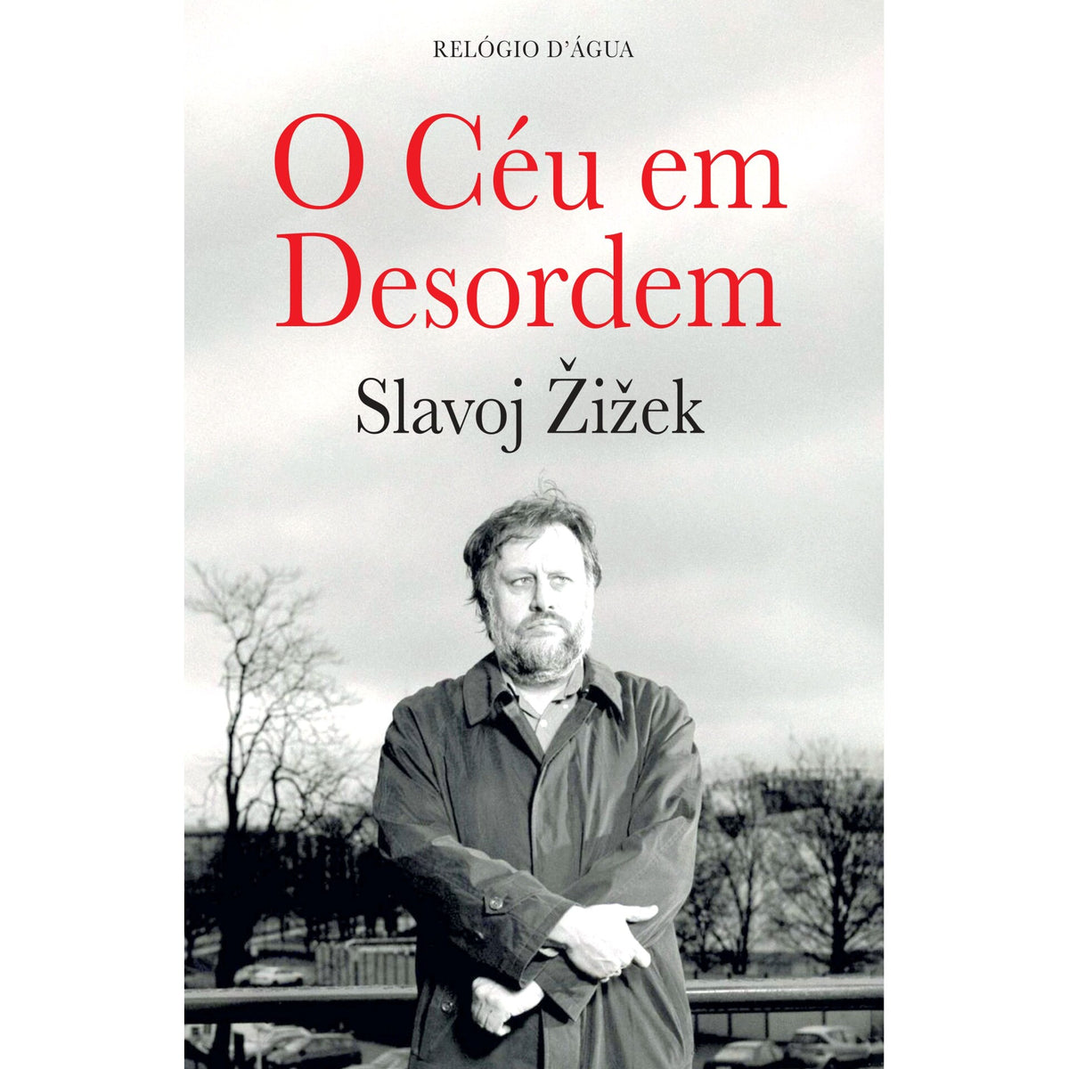 O Céu Em Desordem de Slavoj IEk