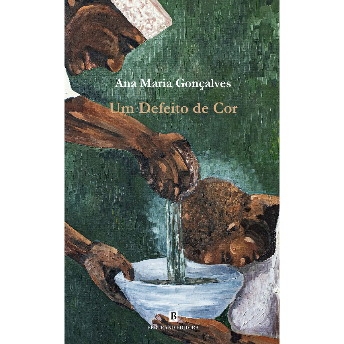 Um Defeito De Cor de Ana Maria Gonçalves