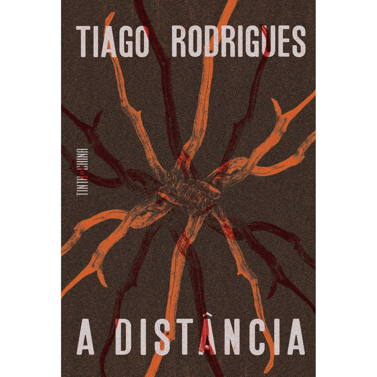 A Distância de Tiago Rodrigues
