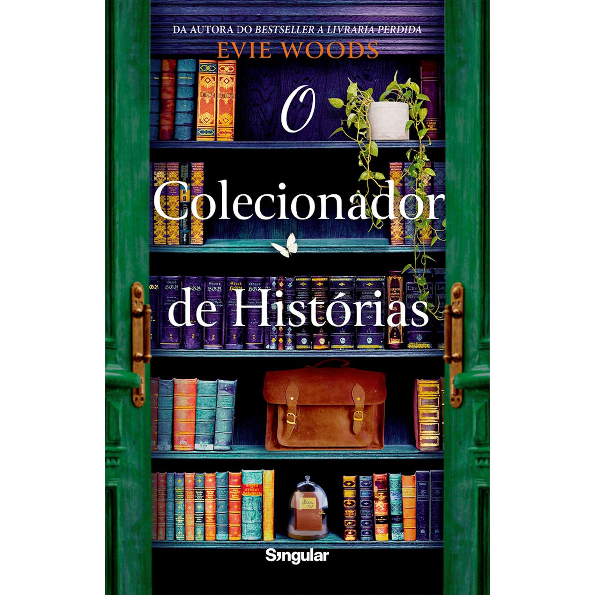 O Colecionador De Histórias de Evie Woods