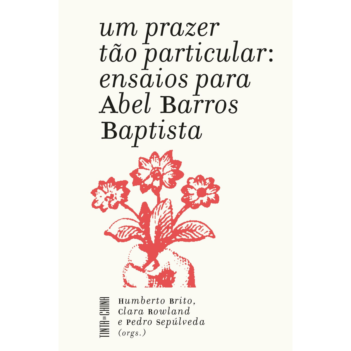 Um Prazer Tão Particular de Aavv