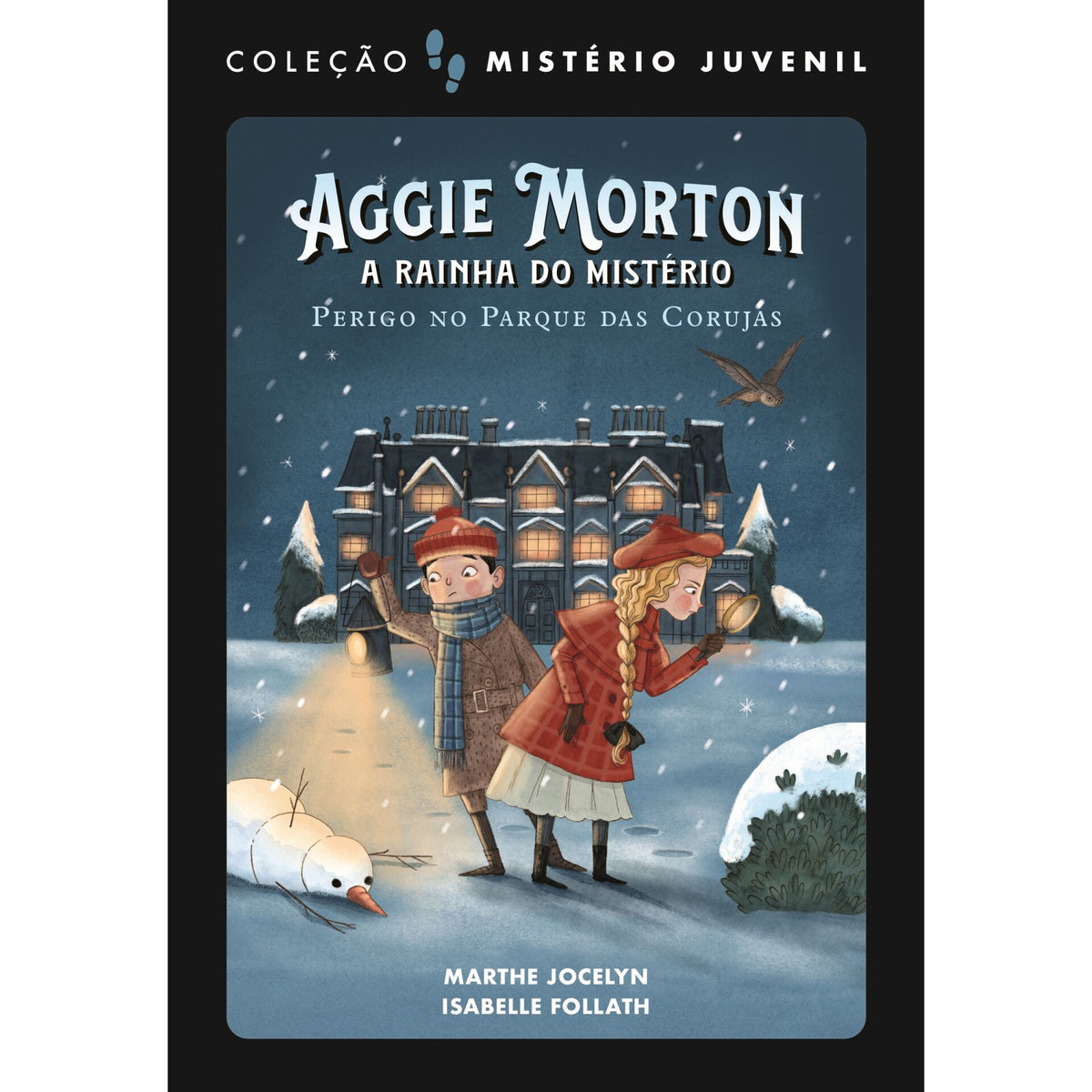 Mistério Juvenil: Aggie Morton  A Rainha Do Mistério 2: Perigo No Parque Das Corujas de Marthe Jocelyn